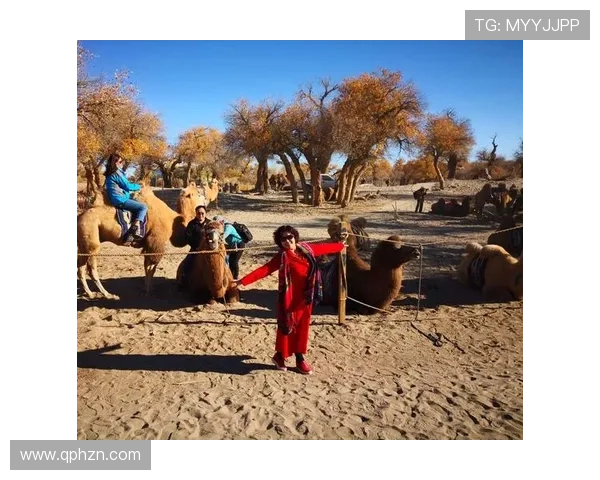 《阿诺拉》:一场关于爱、梦想与自由的绚烂烟火,燃尽人生无悔光芒