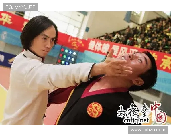 《太极侠》:一场功夫与哲思的奇幻之旅,你,准备好了吗?